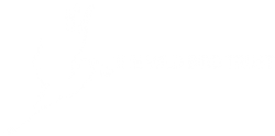 WBT-logo-White
