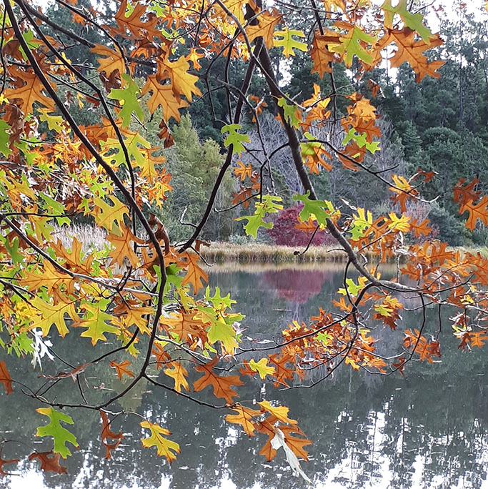 autumn